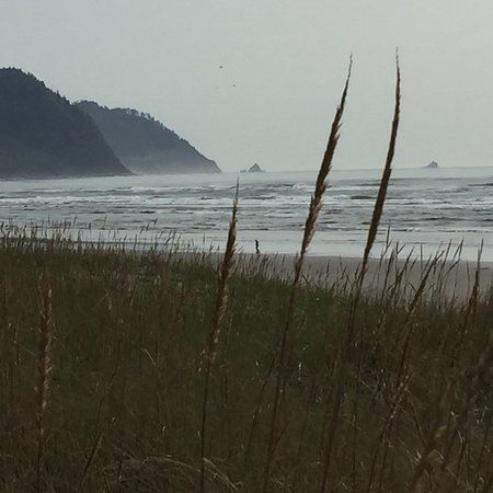 Del Rey Beach State Recreation Site