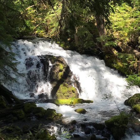 Pearsony Falls
