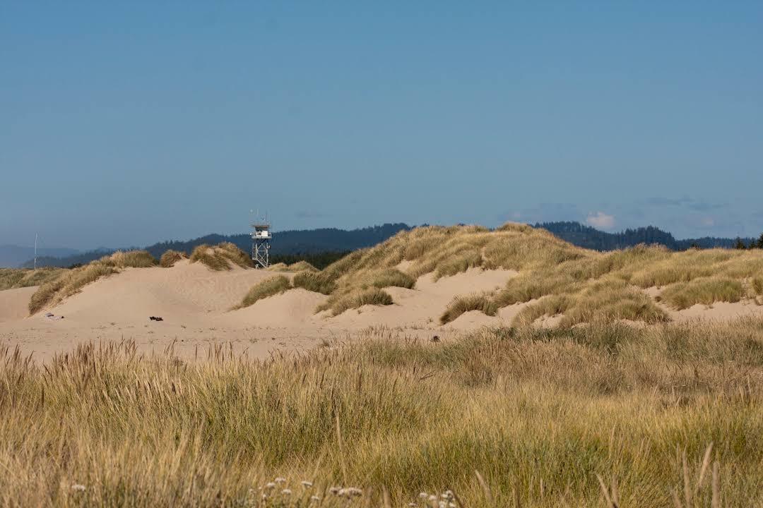 Clatsop Plains