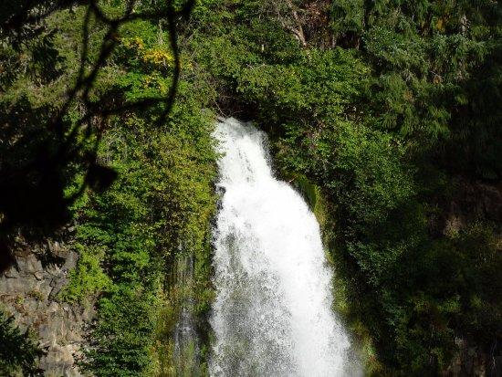 Mill Creek Falls