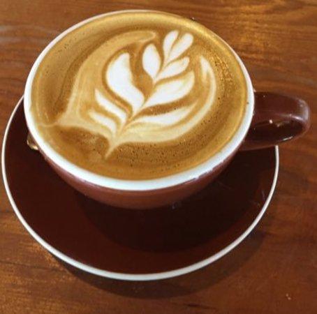 Insomnia Coffee Co