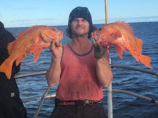 Garibaldi Charters