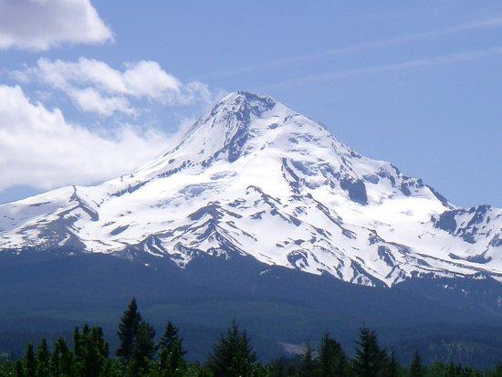 Eco Tours of Oregon