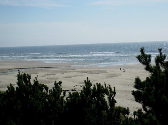Driftwood Beach State Recreation Site