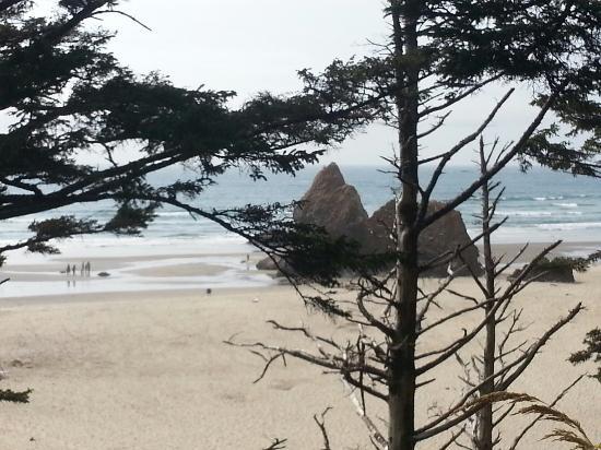 Arcadia Beach State Recreation Area