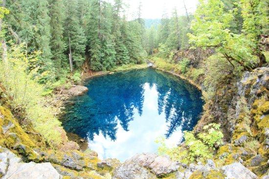 Tamolitch Pool Trail