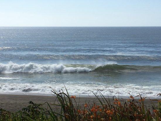 Gleneden Beach State Park