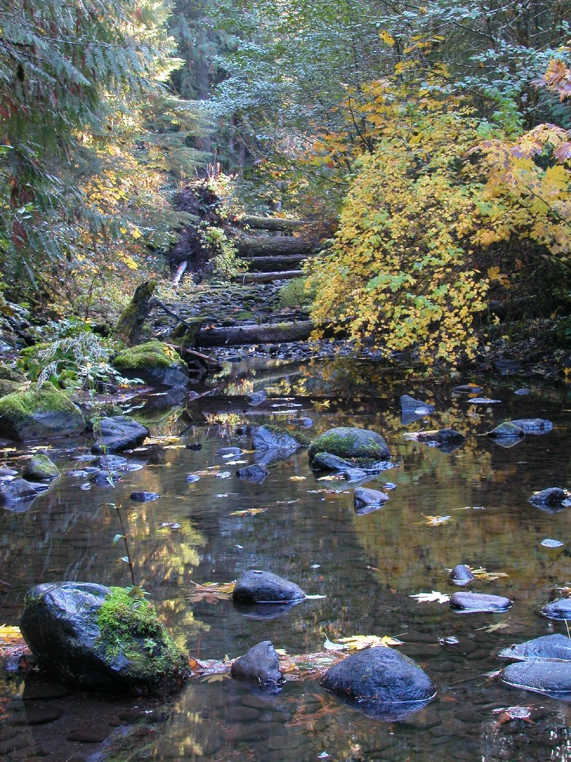 Oregon Outdoor Sports