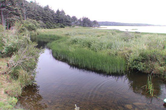 Floras Lake Beach