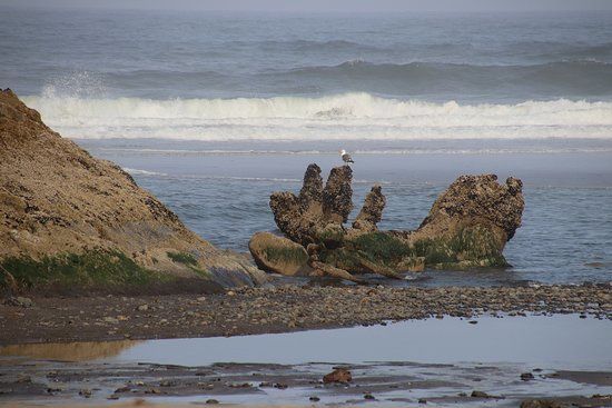Neskowin Beach