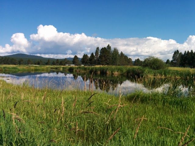 Meadows Golf Course
