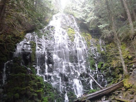 Ramona Falls Trail