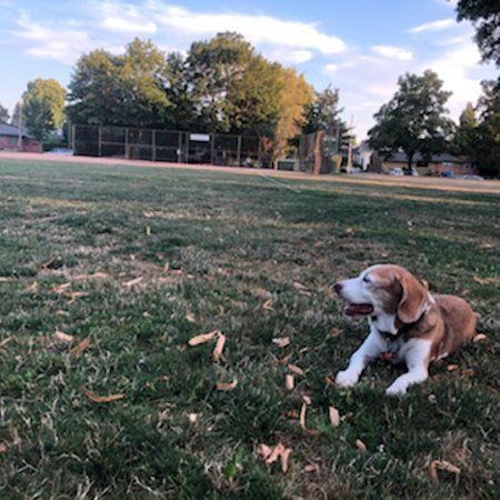 Arbor Lodge Park