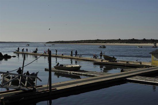 Jetty Marina