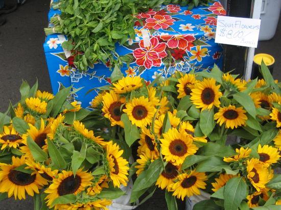 Milwaukie Farmers Market