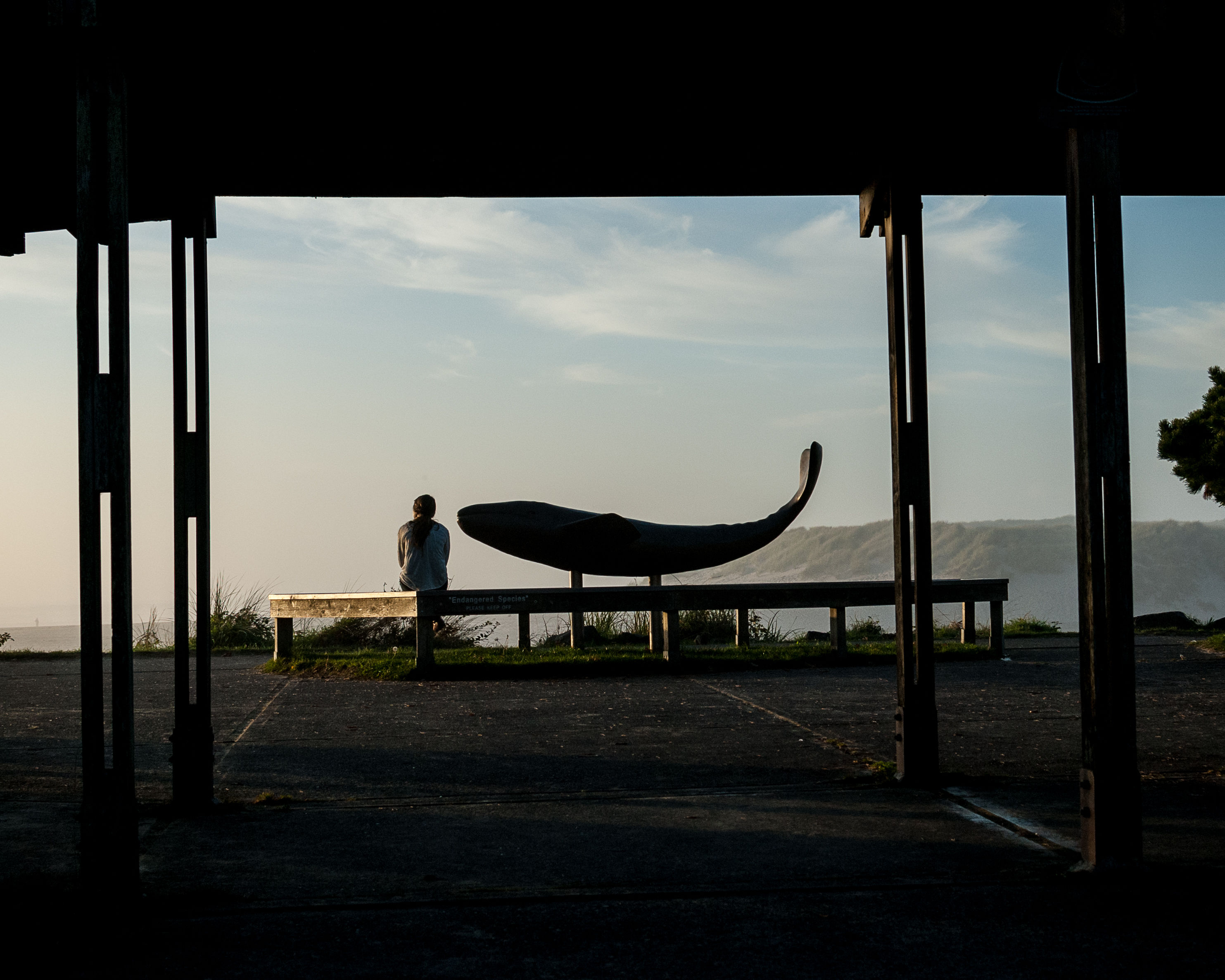 Whale Park
