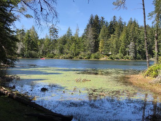 Jessie M. Honeyman Memorial State Park