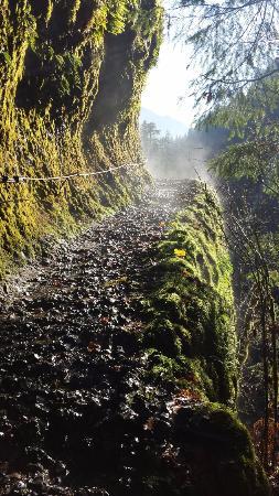Eagle Creek Trail Park